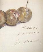 Edouard Manet Lettre avec trois prunes (mk40) oil